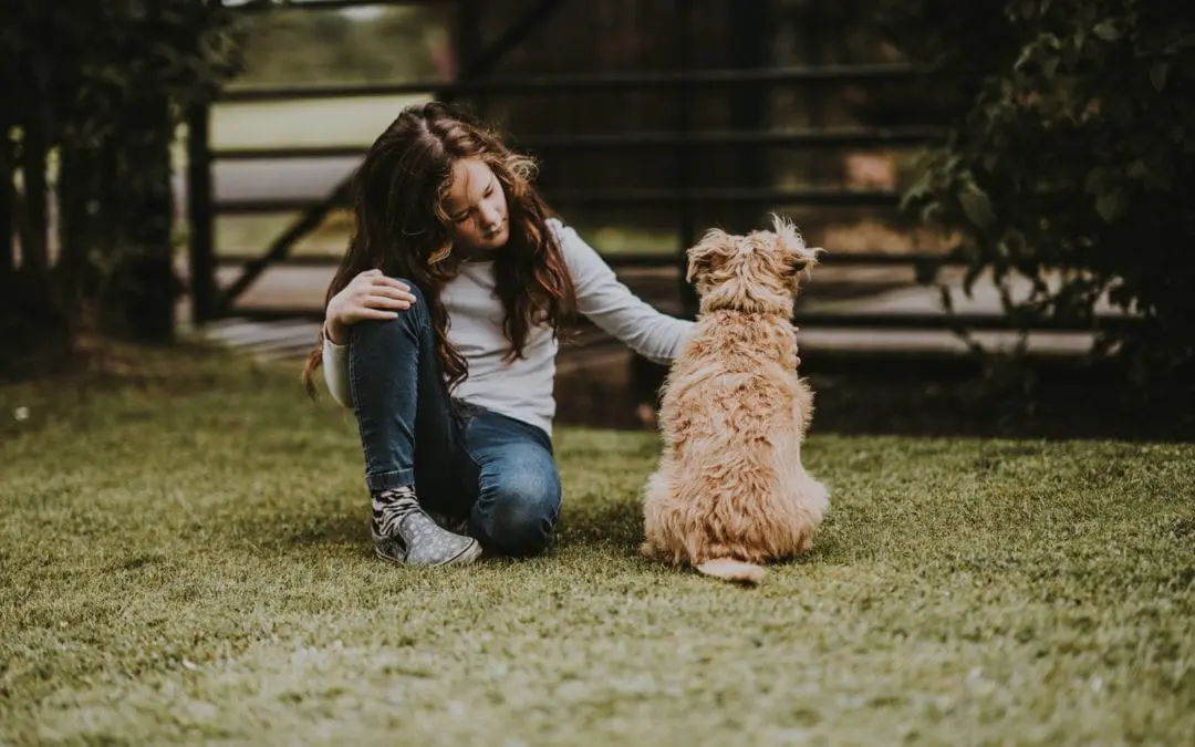 How to Choose a Reputable Rescue