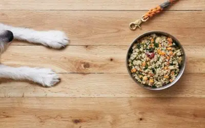 Nutrition Myths Busted