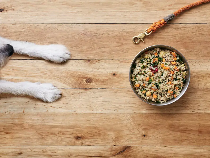 Nutrition Myths Busted