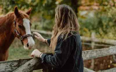 Updates on Deworming in Horses