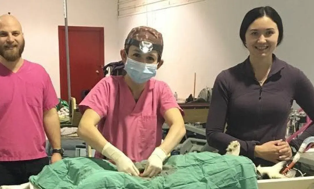 Veterinary Volunteerism Part 3: True North