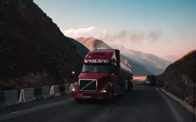 Life is a Highway: Travel Tips for You and Your Pet