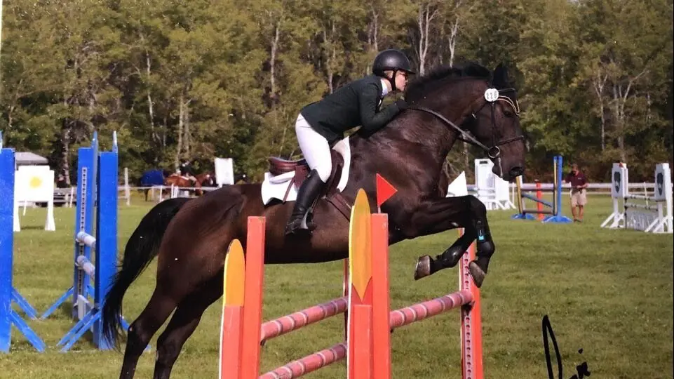 Keys to Successful Showing for Both You and Your Horse