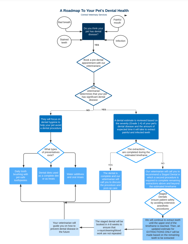 Dental Health Decision Tree