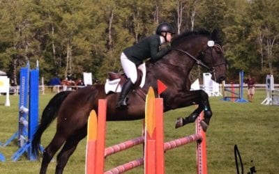 Keys to Successful Showing for Both You and Your Horse