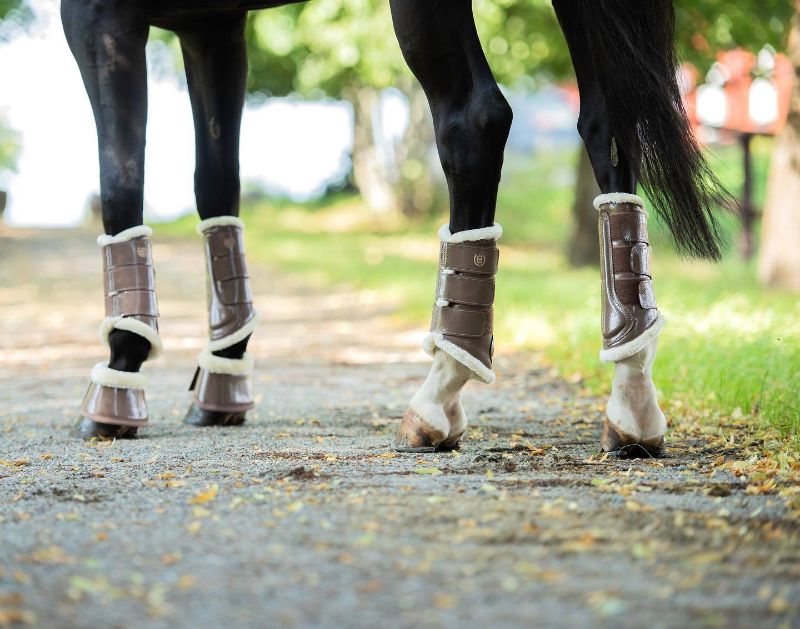 2 pares universal Horse pierna botas trasera vorderbeinsehne proteger wraps 