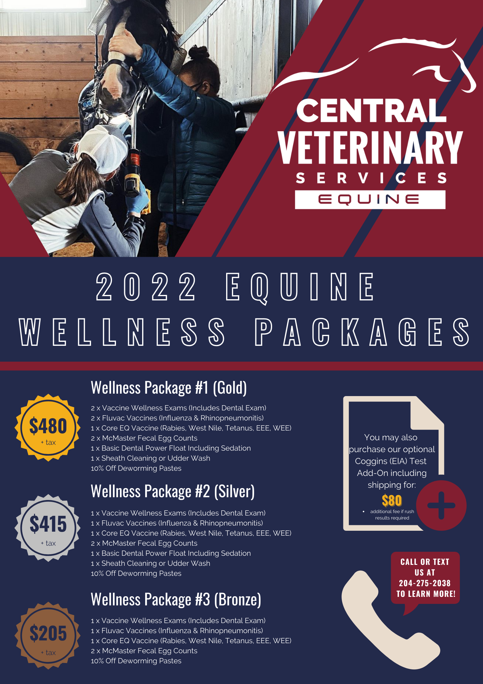 Central Vet - equine wellness packages