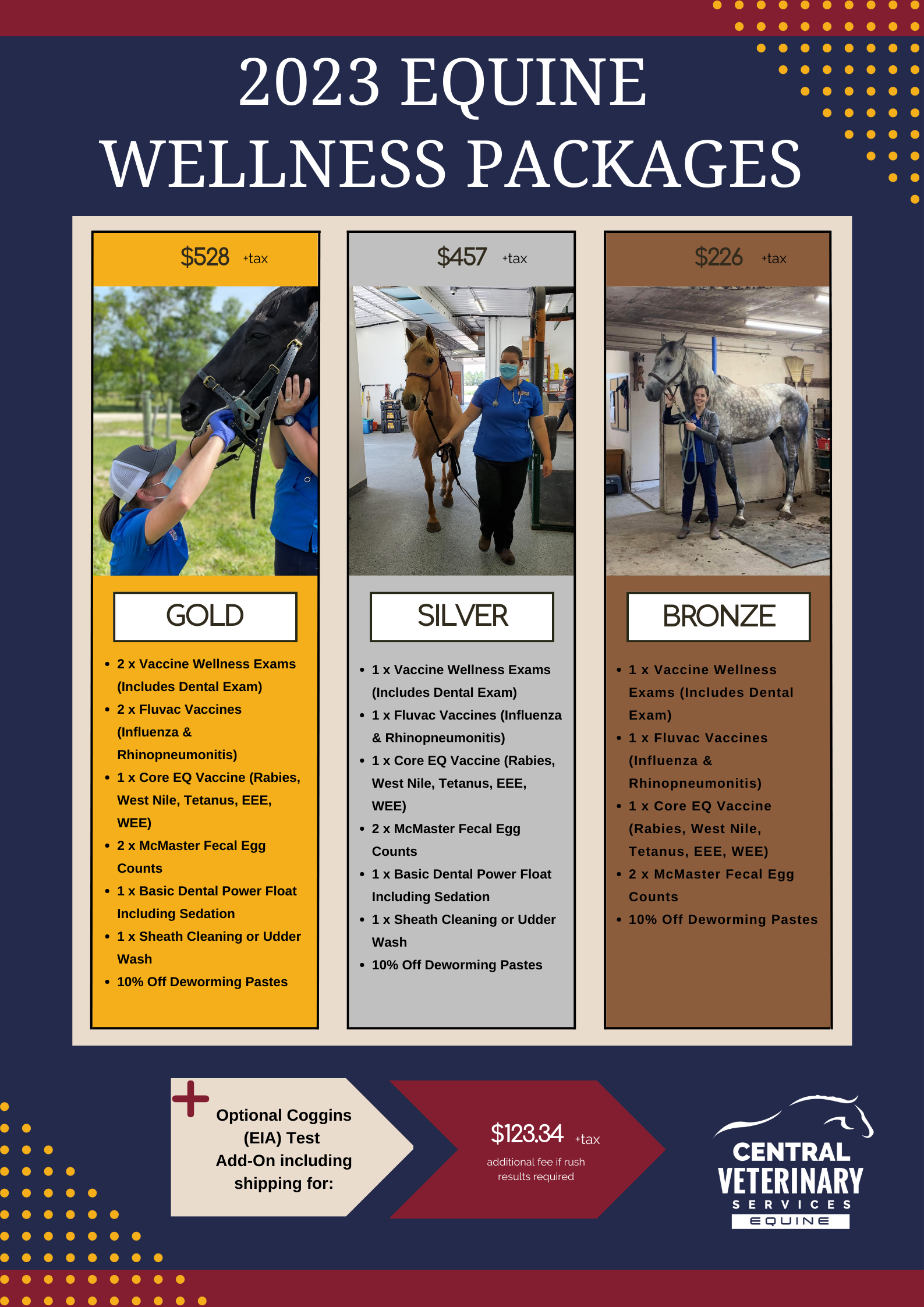 Central Vet - equine wellness packages