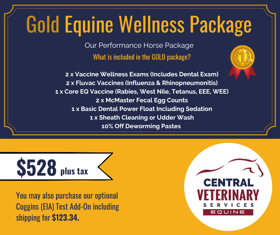 Central Vet - equine wellness packages