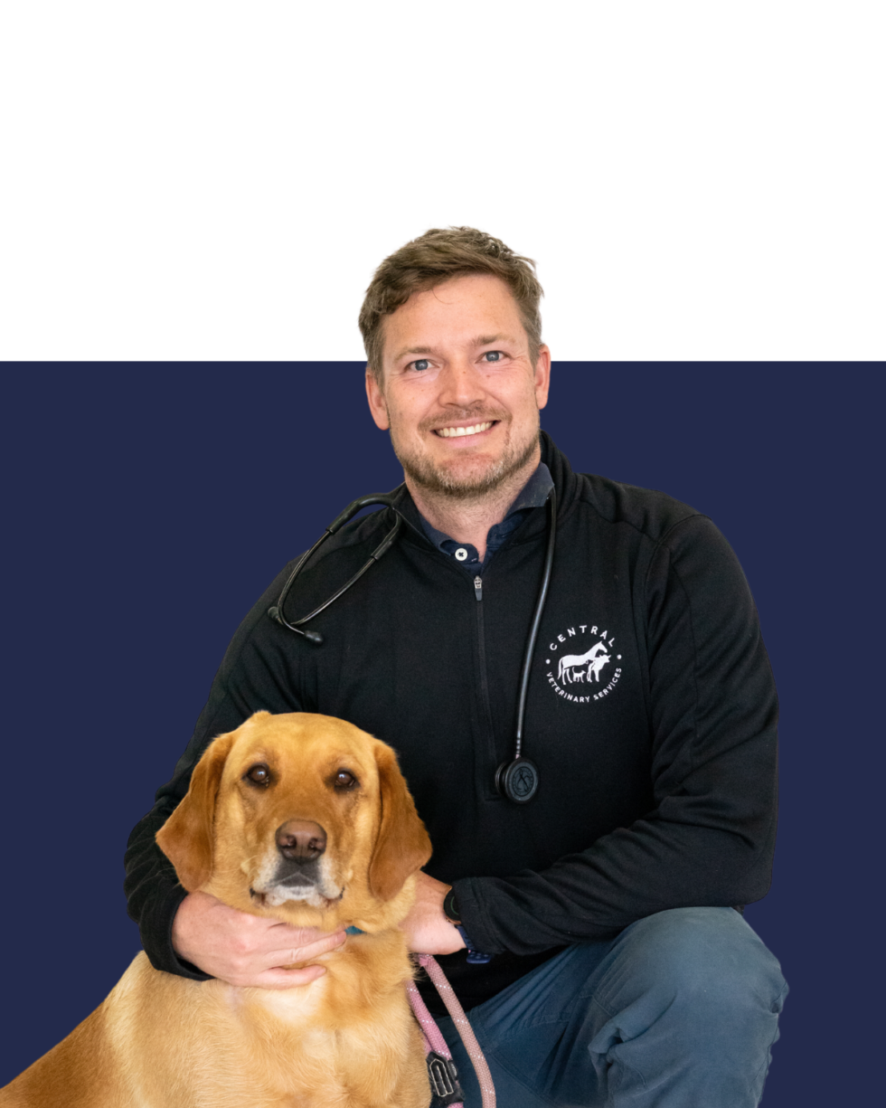 Oak Bluff, MB R0G 1N0 Veterinarians Central Veterinary Services