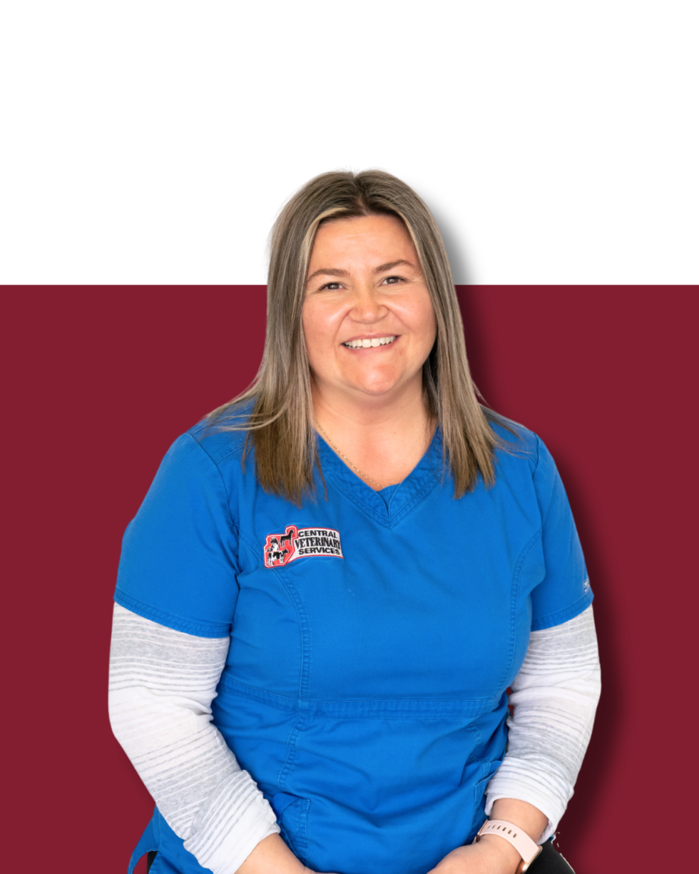 Oak Bluff, MB R0G 1N0 Veterinarians Central Veterinary Services