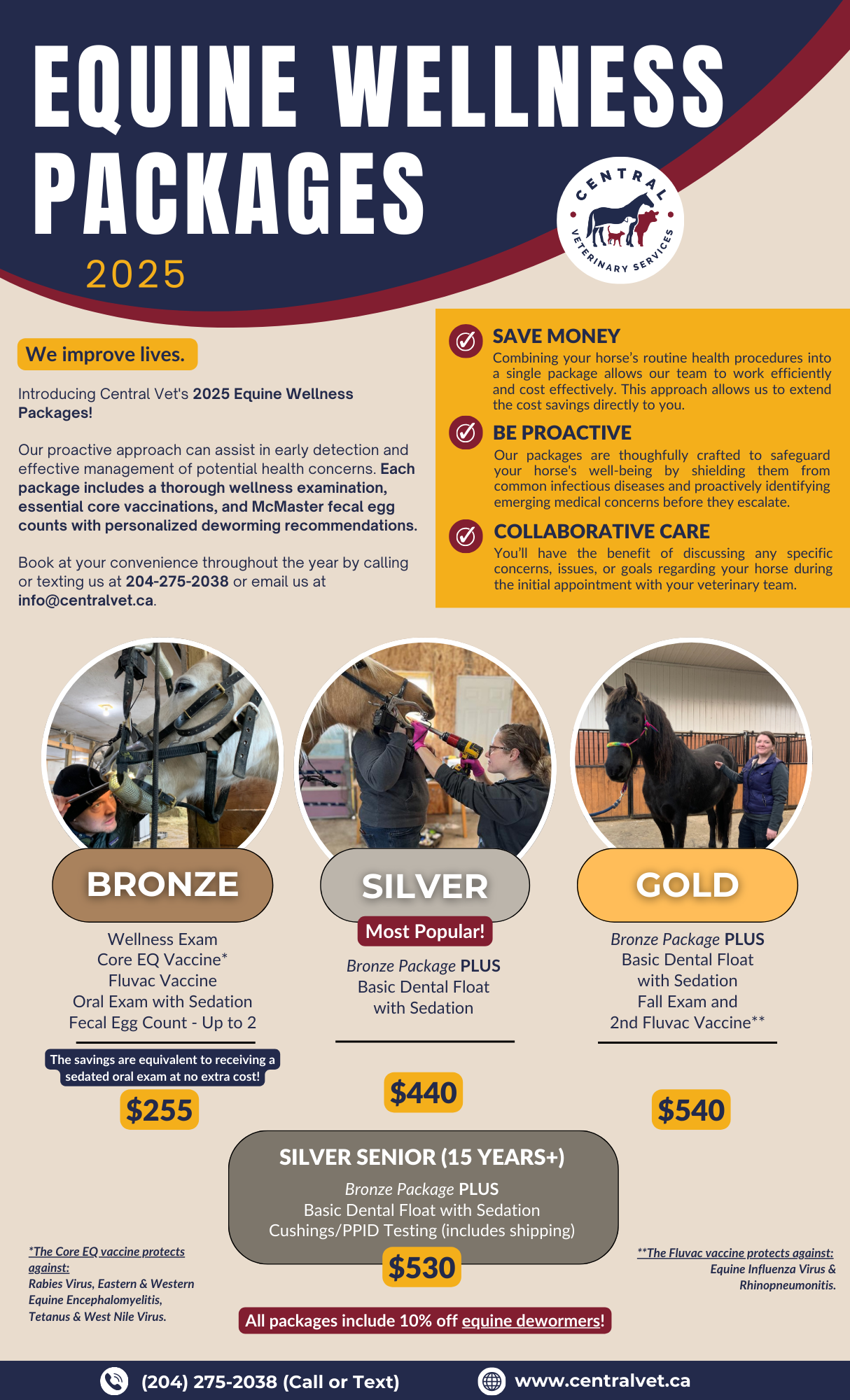 Central Vet - equine wellness packages