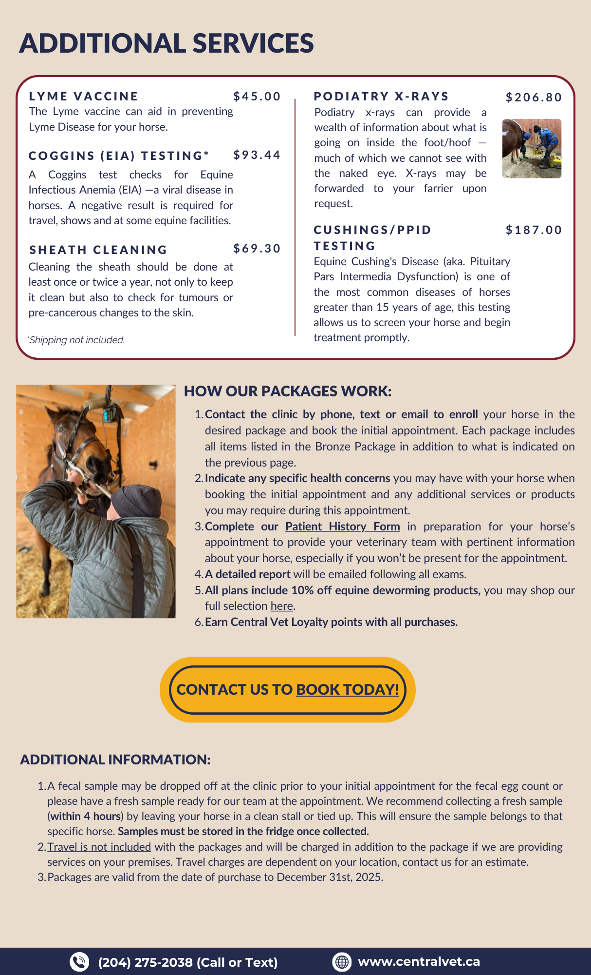 Central Vet - equine wellness packages