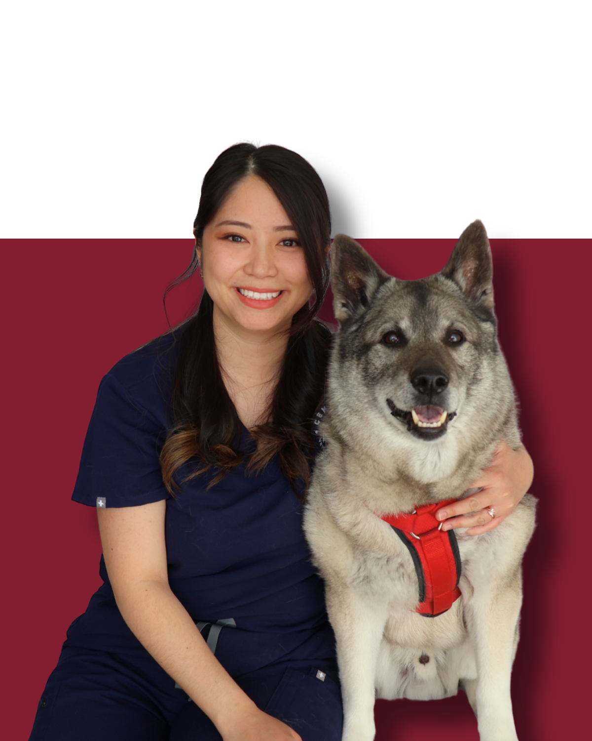 Dr. Clarissa
